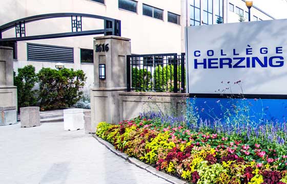 Herzing College In Canada