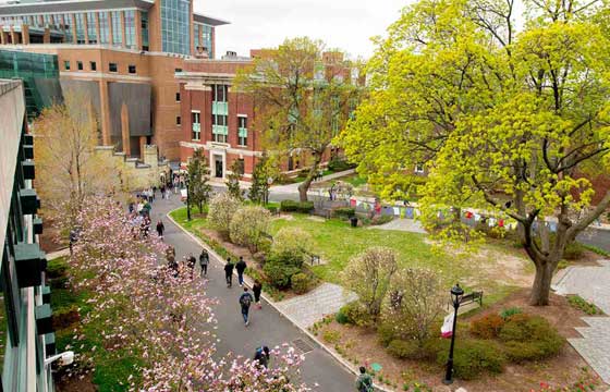 Study at Stevens Institute of Technology USA