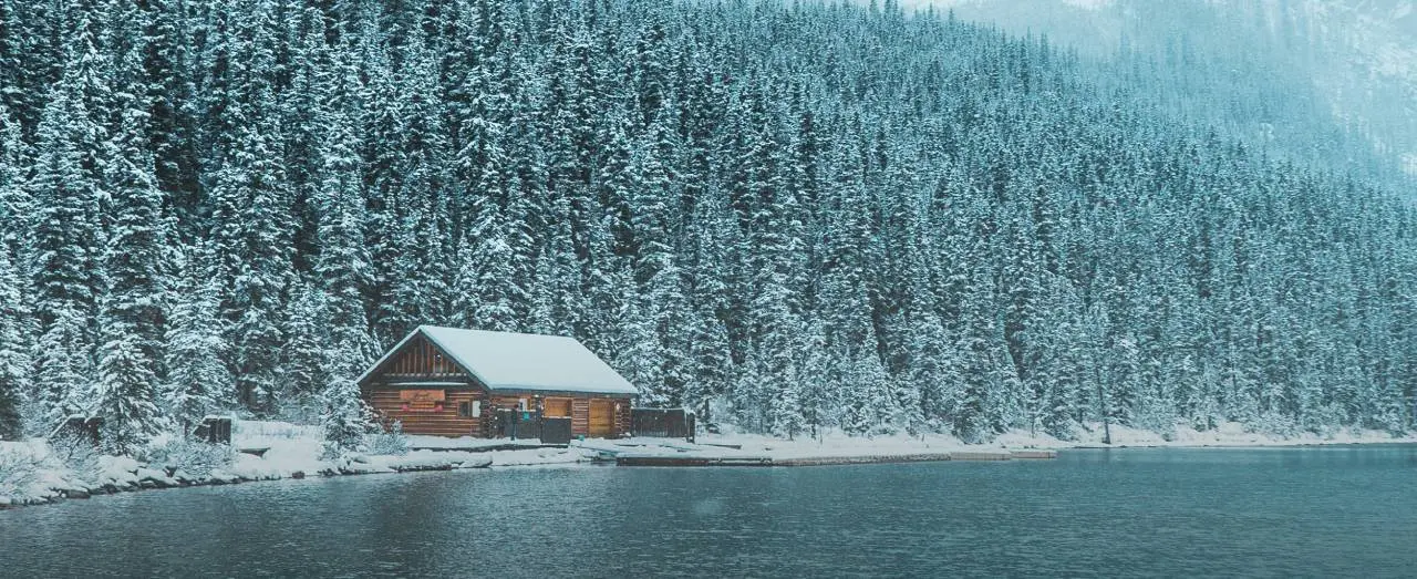 Can You Study in Canada Considering the Current Scenario?