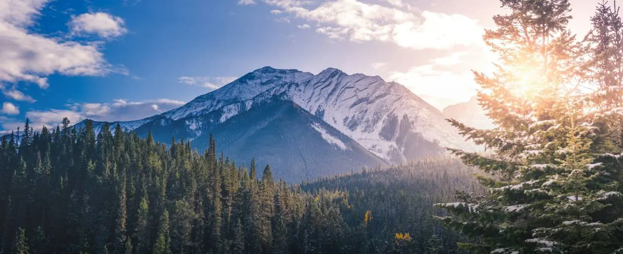 A Complete Guide to Studying in Canada 2021 for International Students