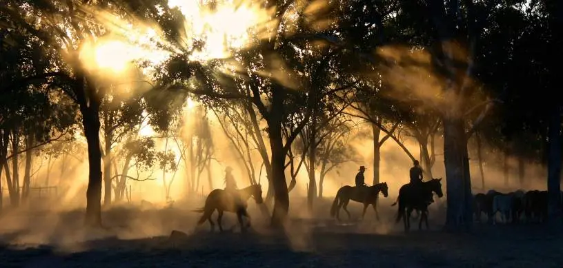 Adelaide: The Australian City of Education