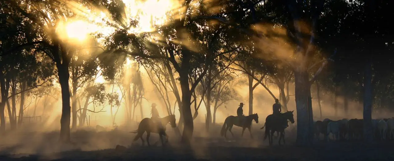 Australia Fair - July 2022