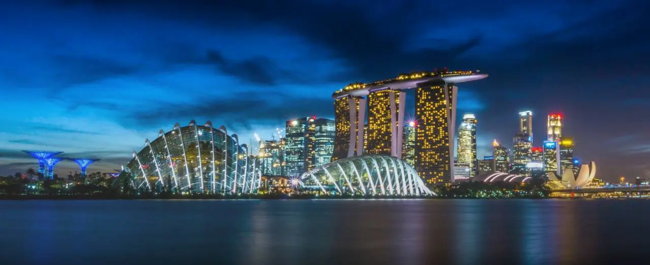 Study the World of Business Management in Singapore 