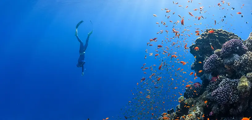 13 Interesting Facts About Australia