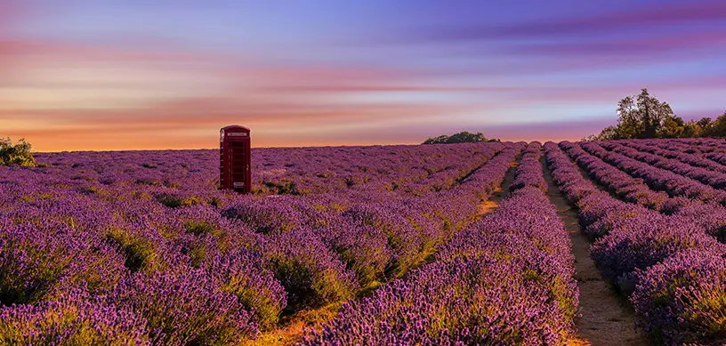 Fall In Love With Semester Abroad