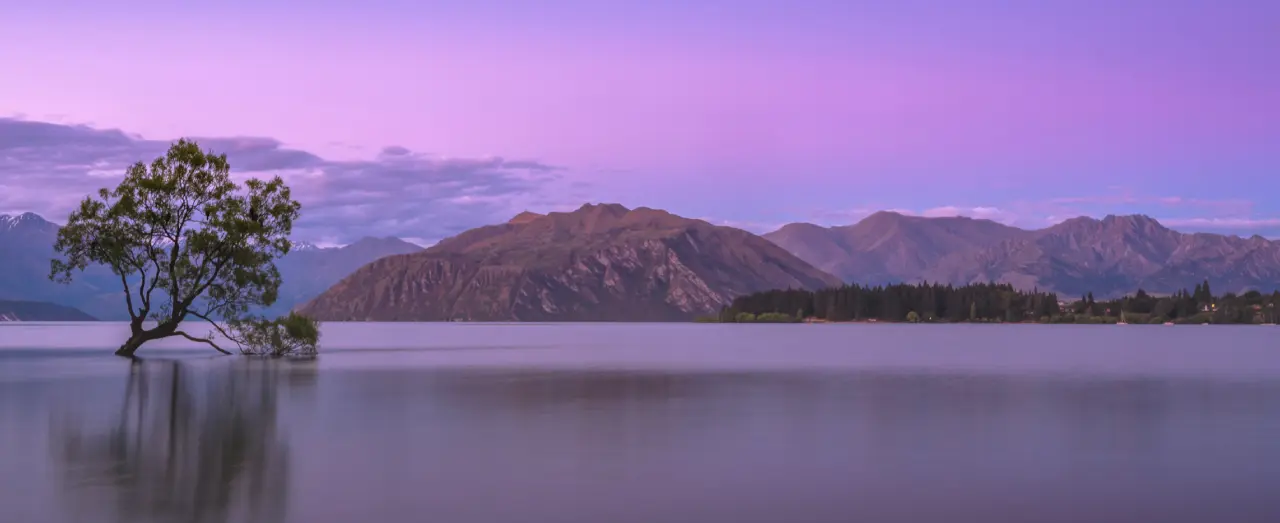 In-demand Courses to Study in New Zealand