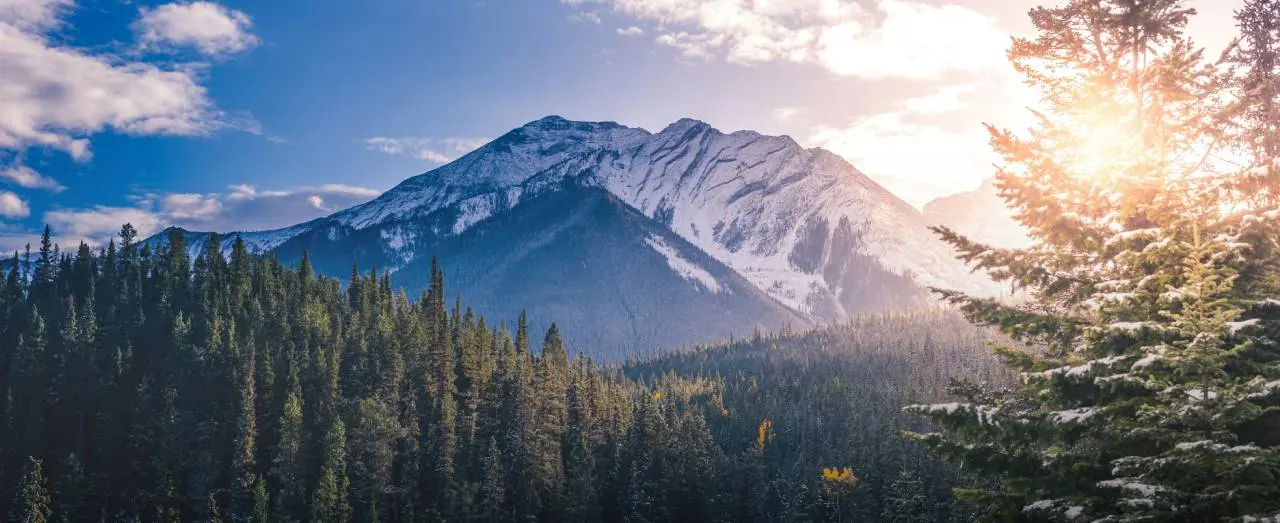 Top Ranking Colleges in Canada