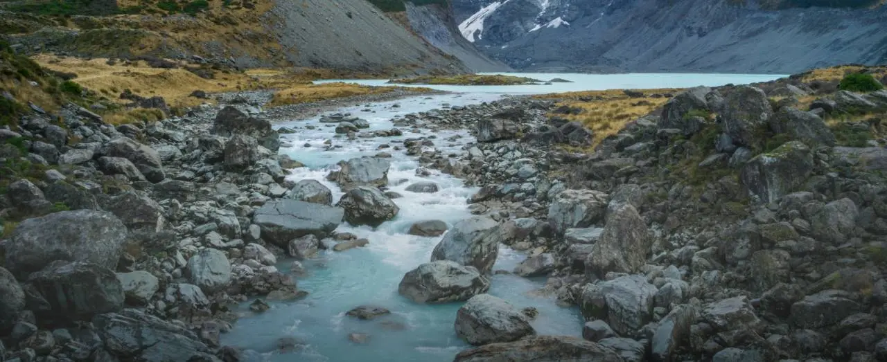 New Zealand: A Country with Various Specialisations in Degree