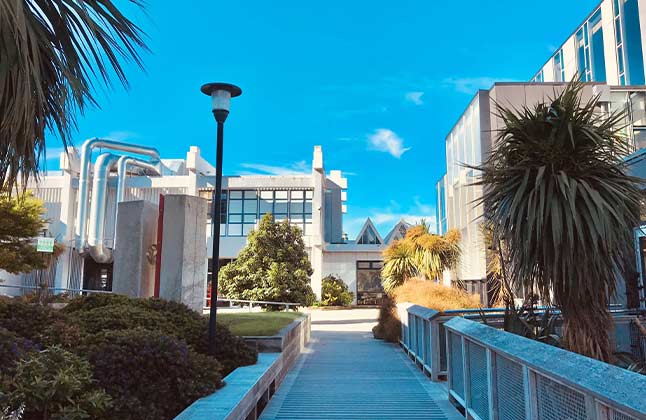 Top 7 Universities for Public Relations in New Zealand 