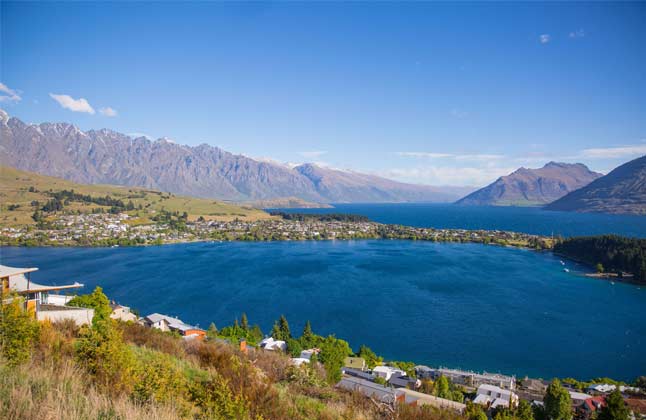 Trending Courses To Study In New Zealand