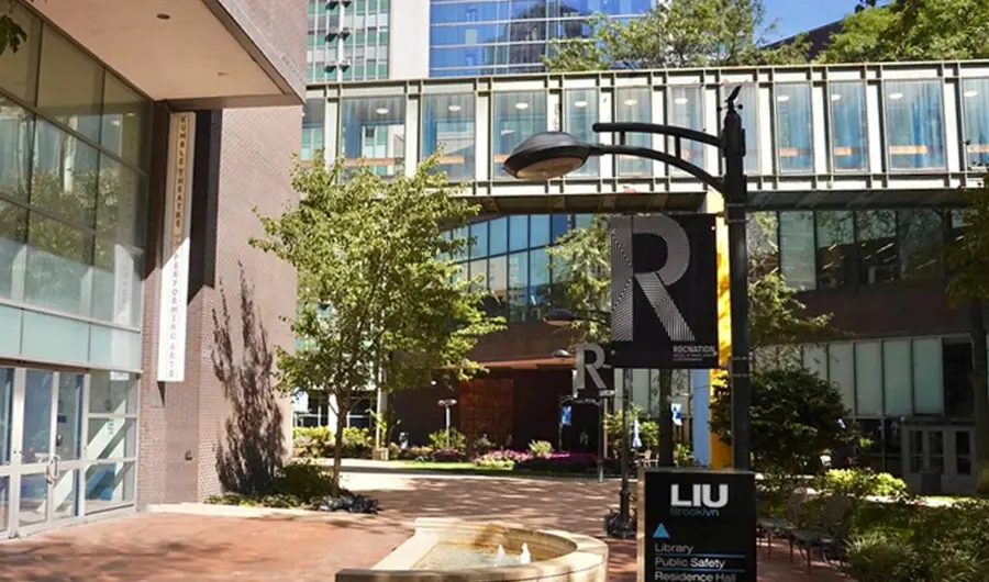 Study Abroad at Long Island University Brooklyn